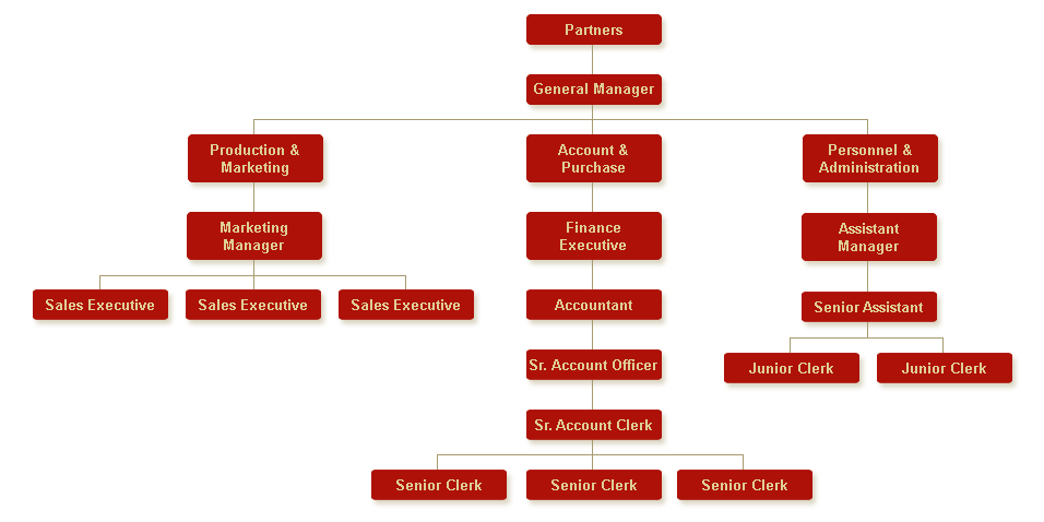 Organisation Chart