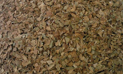 Deer Brand