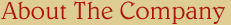 About The Company